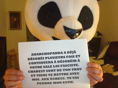 anarchopandaad5b-f45aa.jpg